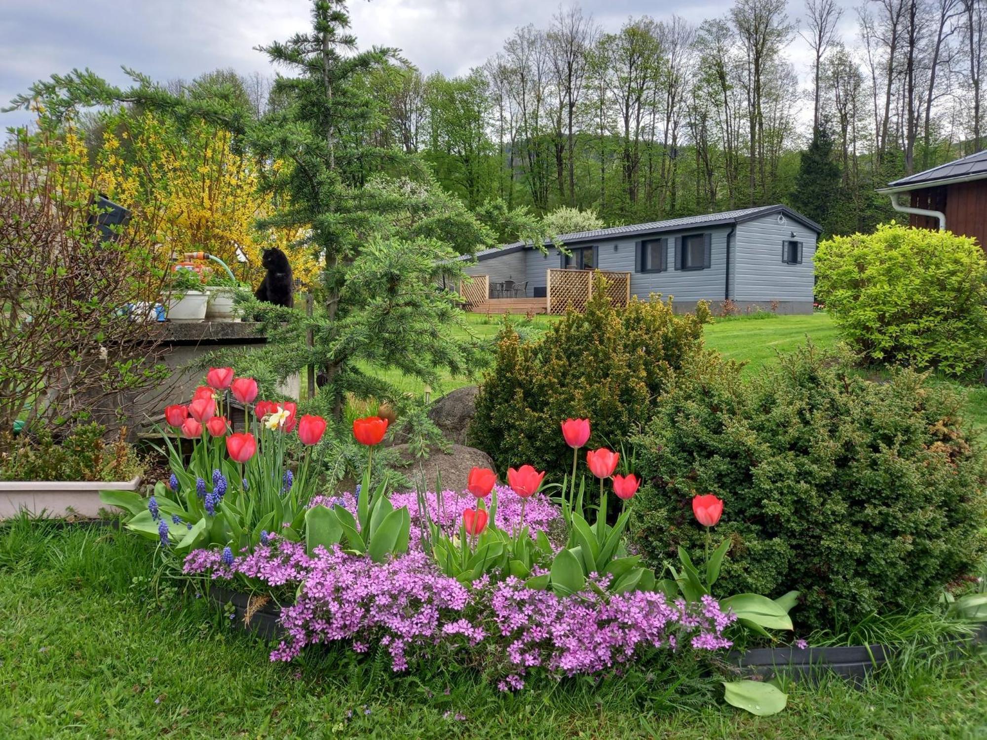 Chata Idylka - Nova Chata Se Zahradou Loučná nad Desnou Extérieur photo